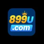 899U Game