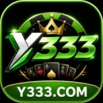 Y333 Game