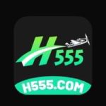 H555 Game