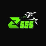 Z55 Game