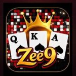 ZEE9 Game