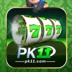 PK11 Game
